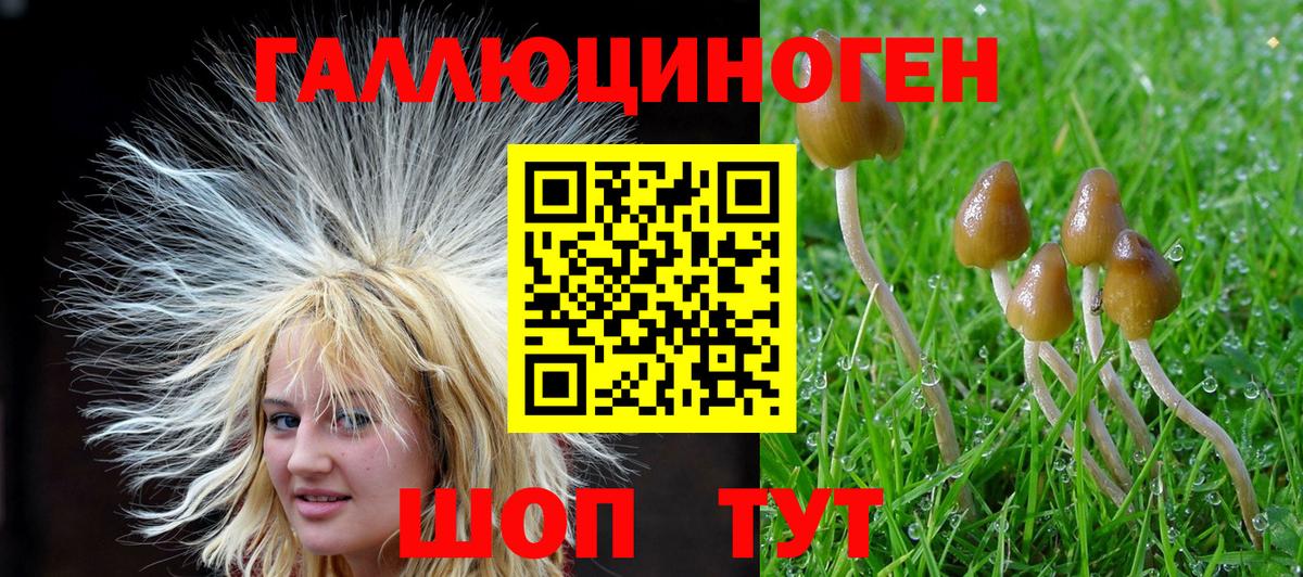 Галлюциногенные грибы GOLDEN TEACHER Красноярск
